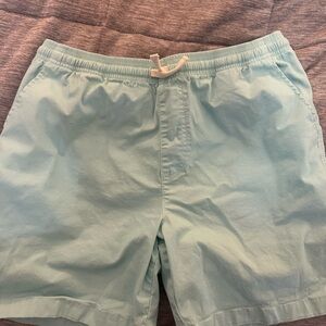 Chubbies Aqua Elastic Shorts